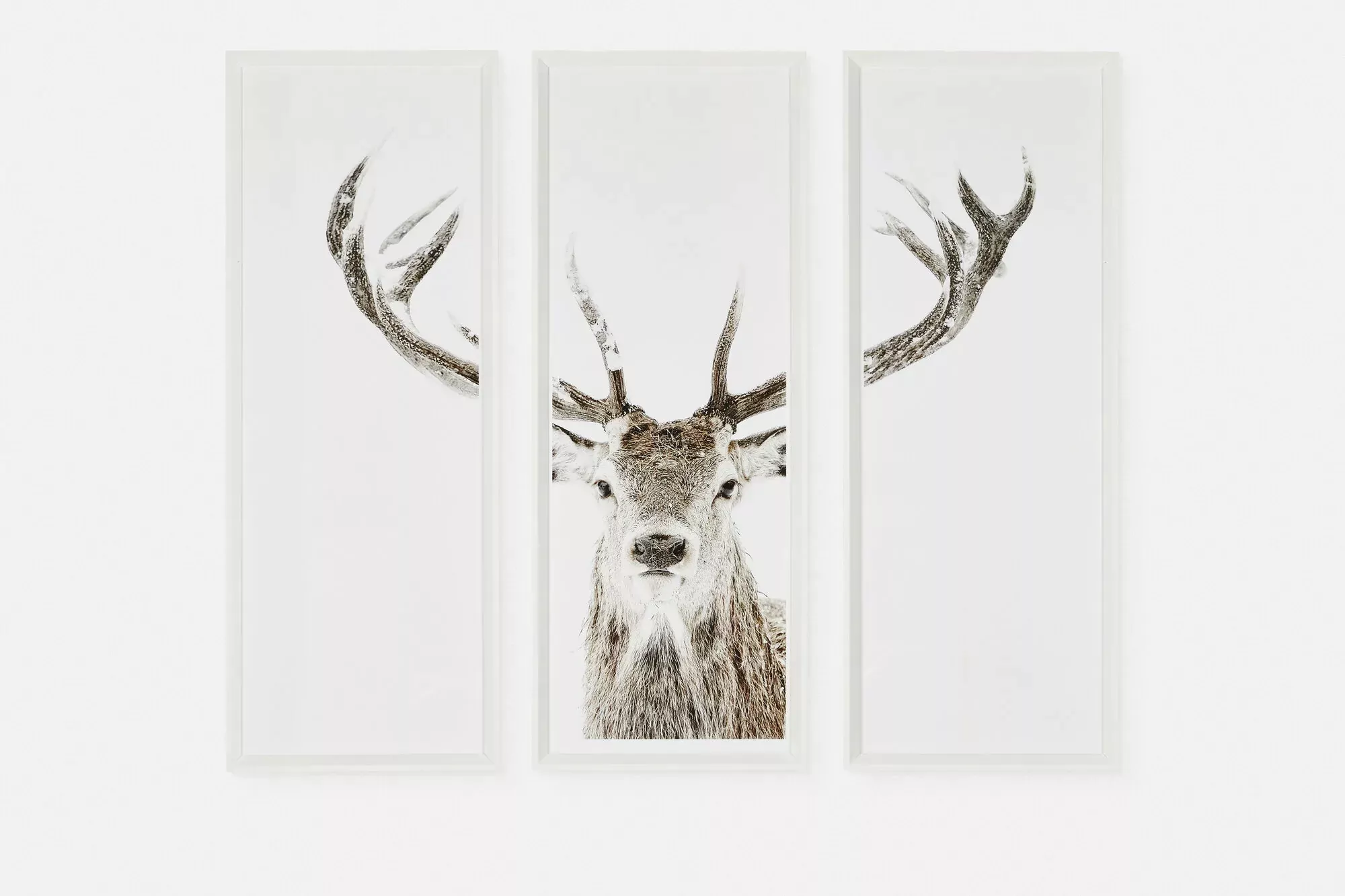 Stag - Set of Three Printed Frames
